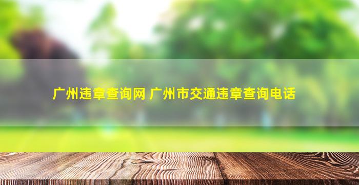 广州违章查询网 广州市交通违章查询电话